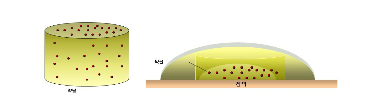 전자빔을 이용한 구강점막 부착형 약물 전달체의 원리.[한국원자력연구원 제공]