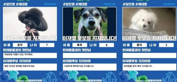 [고민정 의원 페이스북]
