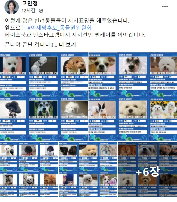 고민정 더불어민주당 의원 페이스북 일부 캡처.