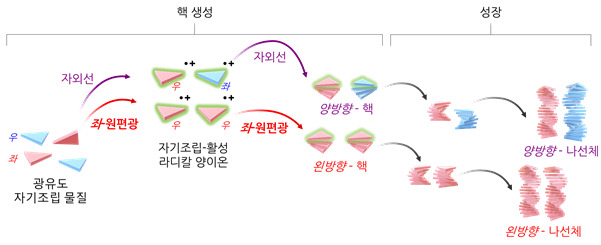 자기조립체에서 초분자 카이랄성이 발현되는 매커니즘 모식도.[KAIST 제공]