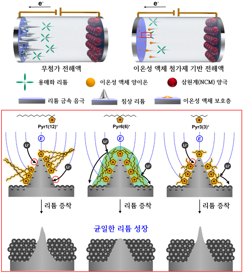 대칭성 이온성 액체에 의해 형성되는 최적의 반리튬성 보호층에 의한 균일한 리튬 증착.[KAIST 제공]