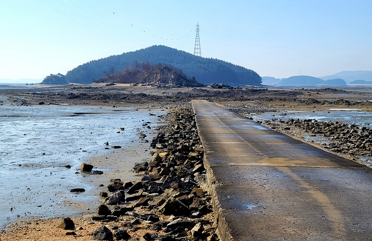 고창개 머드맥스 작업장 앞(남쪽) 작은 솔섬과 그 뒤 좀 더 큰 조도