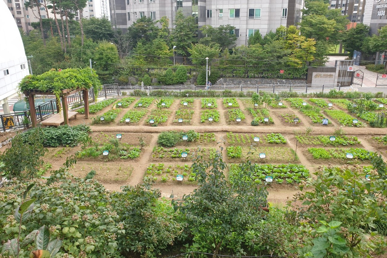 광장동 자투리텃밭. [광진구 제공]