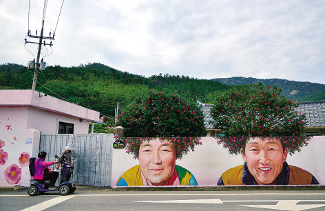 신안 암태도 동백파마머리 벽화
