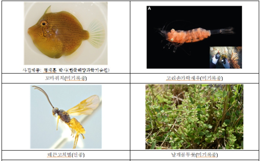 새로 추가된 생물종 사진. [환경부 제공]