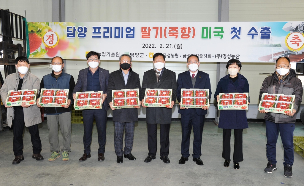 담양군이 직접 육성·재배한 딸기 ‘죽향’이 처음으로 미국 수출길에 오른다.