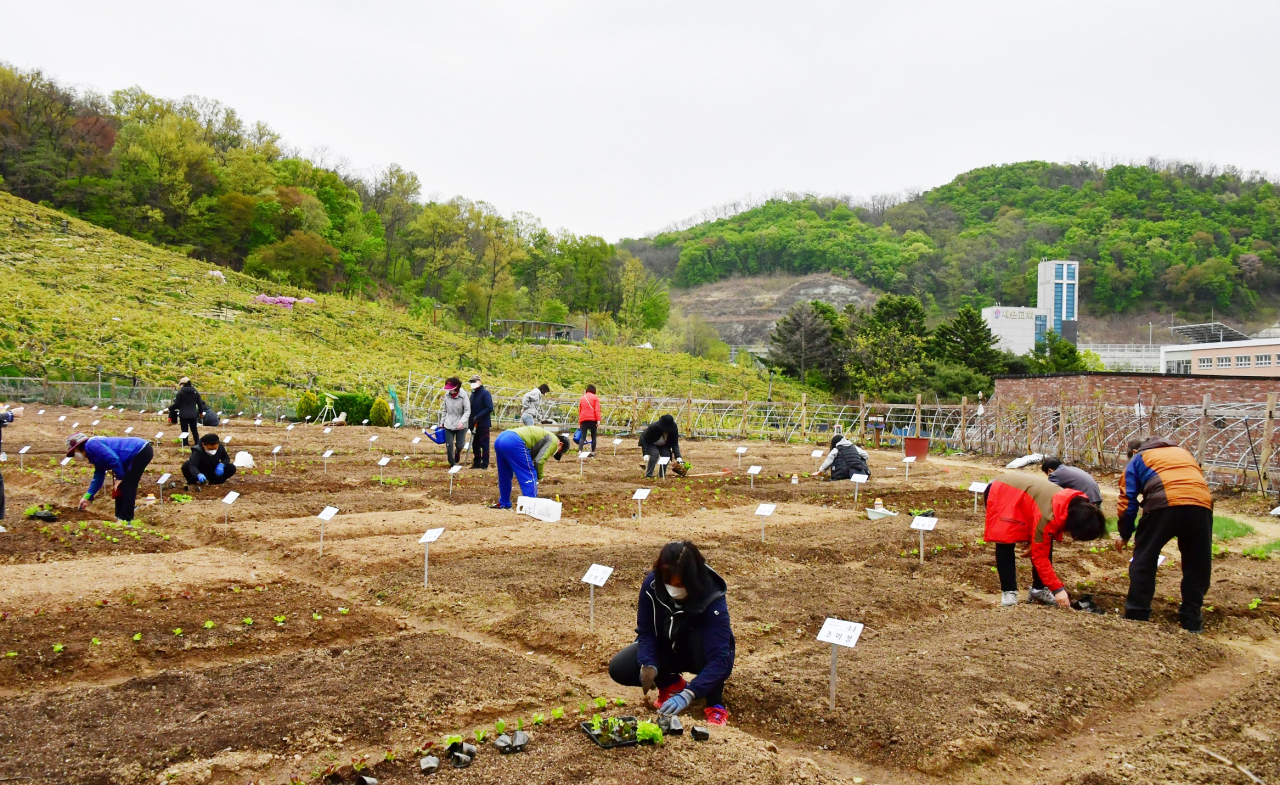 중랑구, 중랑행복농장 분양…참여 주민 모집 - 헤럴드경제 중랑구, 중랑행복농장 분양…참여 주민 모집