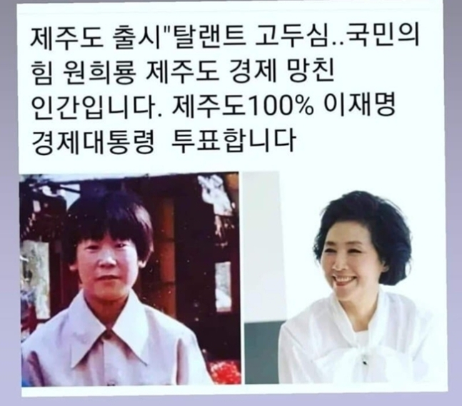 배우 고두심이 이재명 더불어민주당 대선 후보를 지지한다는 내용이 담긴 허위글. [온라인커뮤니티]