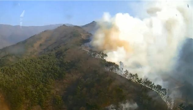 전남 구례 산불로 산불 1단계 발령[산림청 제공]