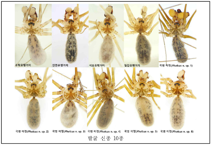 [환경부 제공]