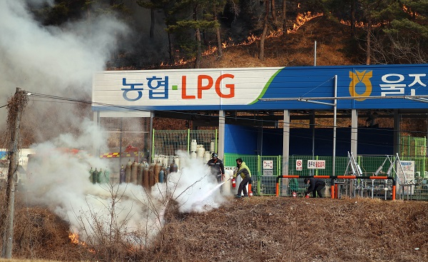 경북 울진군 연지리의 한 LPG충전소 부근에 지난 5일 산불이 번지자 직원, 소방관계자들이 긴급 진화를 하고 있다. [연합]