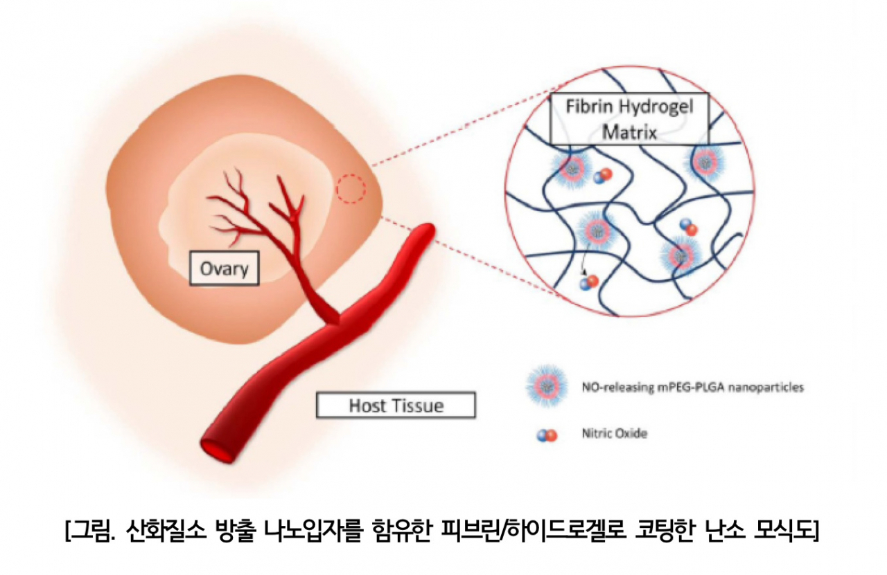 [분당서울대병원 제공]