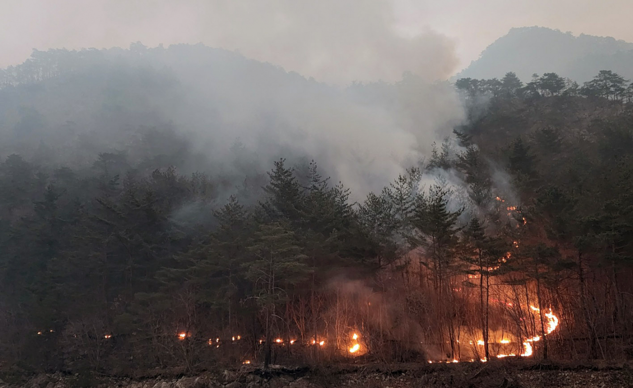 7일 오전 강원 삼척시 원덕읍 사곡리에서 산불이 띠를 형성하며 확산하고 있다. [연합]