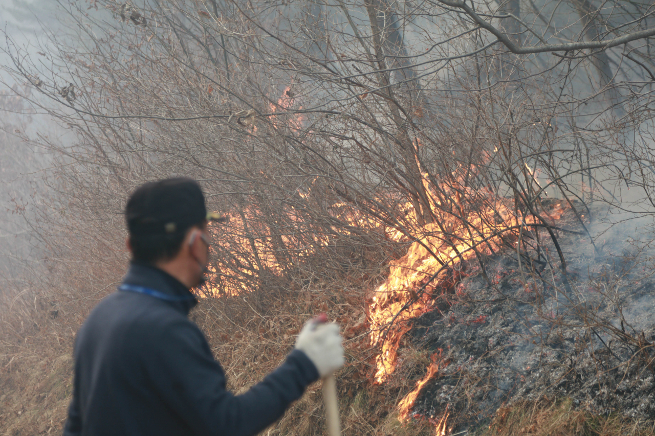 울진·삼척산불이 나흘째 이어지는 7일 오전 경북 울진군 울진읍 신림리의 한 야산이 불타고 있다. 이곳은 전날 오후 진화작업을 끝냈으나 밤새 불씨가 다시 날아왔다. [연합]