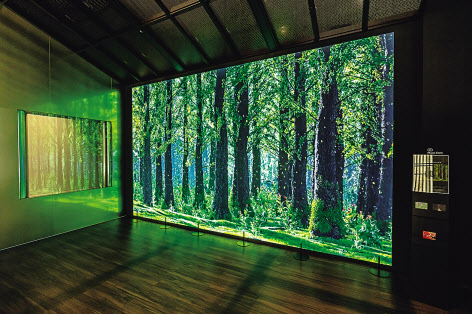 SK텔레콤 사옥 내부 미디어월에 설치된 온실가스 감축을 주제로 한 미디어 아트 ‘동행’(A Journey to Green Forest with SK). [SK텔레콤 제공]