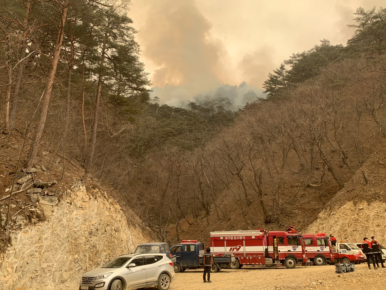 8일 울진군 소광리에서 금강송 군락지를 산불로부터 보호하기 위해 소방차 등이 대기하고 있다.[경북소방본부 제공]