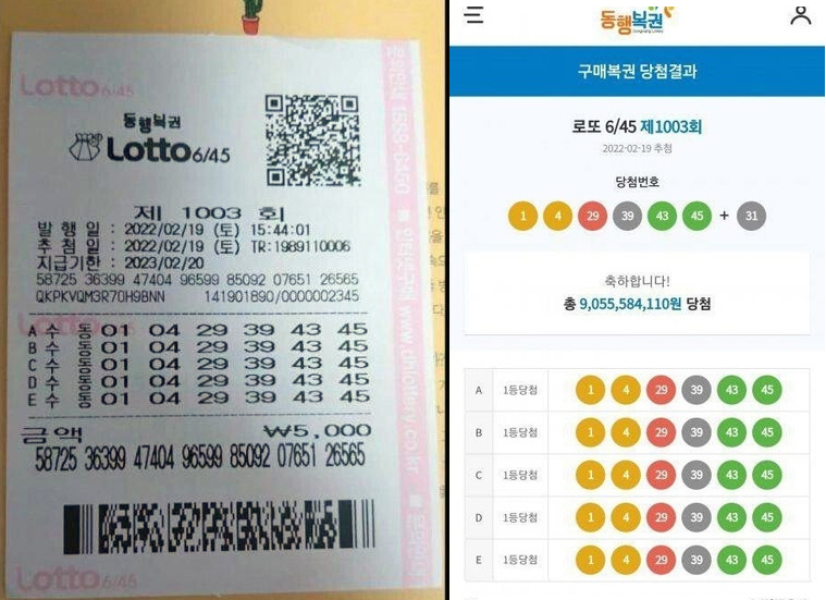 [온라인 커뮤니티 캡처]