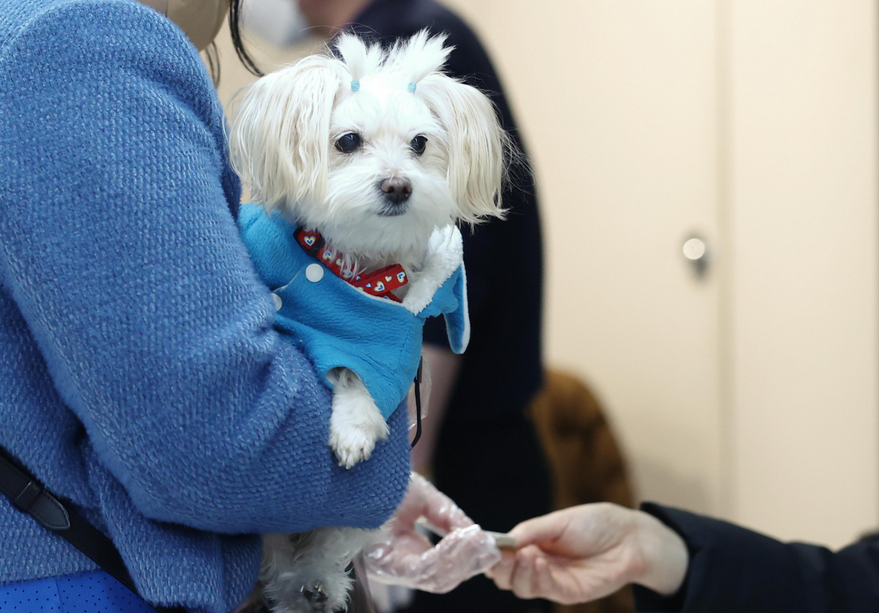 제20대 대통령선거 투표일인 9일 오후 서울 강북구 블랙야크 BAC센터에 설치된 우이동 제5투표소에서 반려견과 함께 온 유권자가 투표지를 받고 있다. [연합]