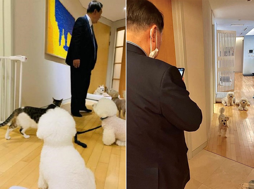 윤석열 대통령 당선인의 반려동물 [윤석열 공식 인스타그램]