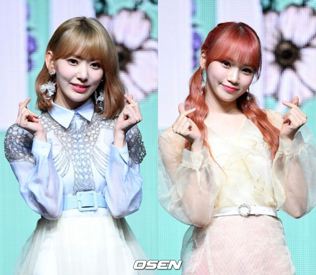 미야와키 사쿠라, 김채원 [OSEN 제공]