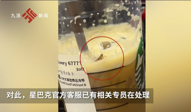 스타벅스 바퀴벌레 논란 게시물 [웨이보 캡쳐]