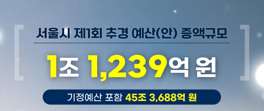 서울시가 코로나19 방역 지원을 위해 1조1239억원 규모의 올해 첫 번째 추가경정예산안을 발표했다. [서울시 제공]
