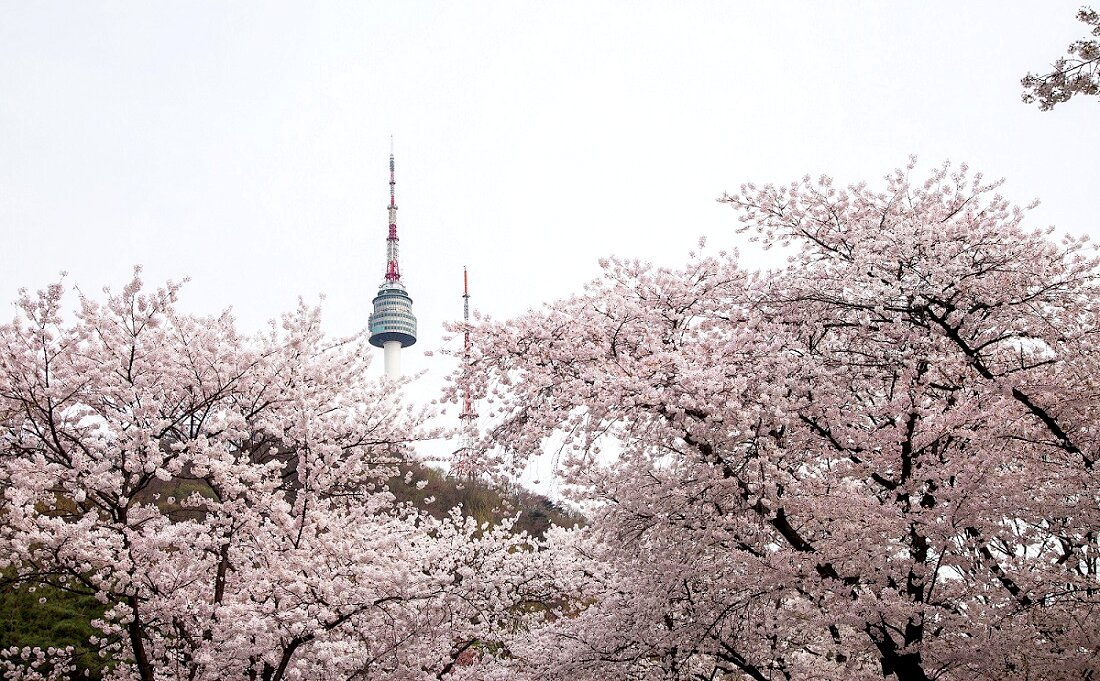 서울 한 호텔에서 본 남산