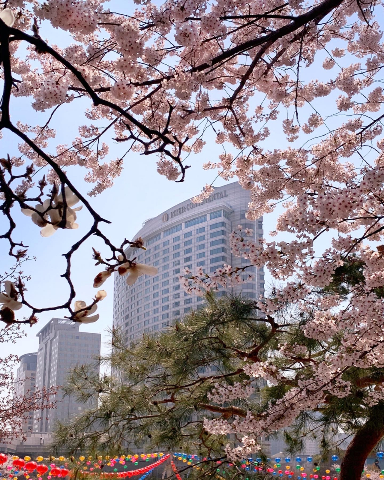 삼성동