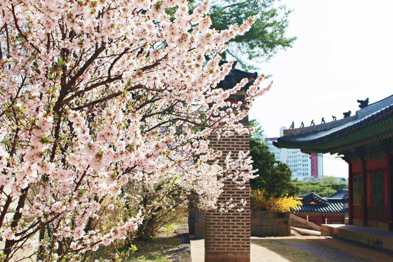 창경궁 화계