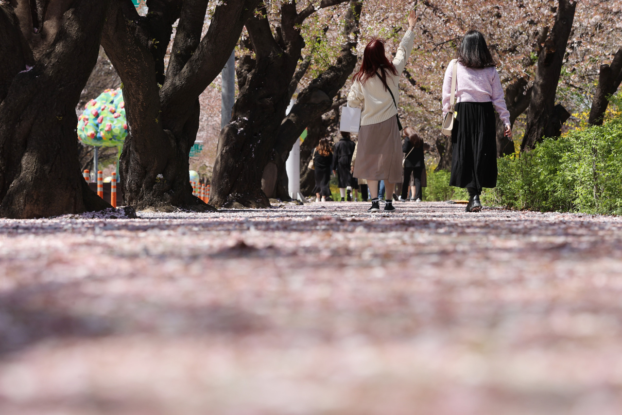 Two women walk under cherry blossoms in Yeouido, Seoul, on April 5, 2021. (Yonhap)