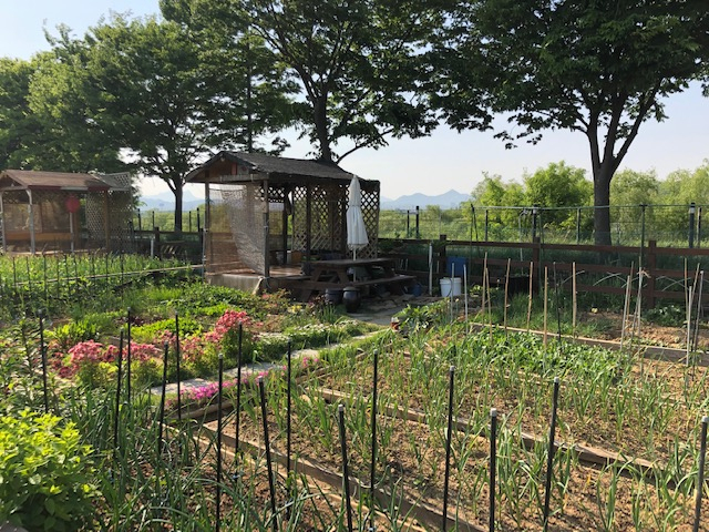 강일 정원형텃밭 모습. [강동구 제공]