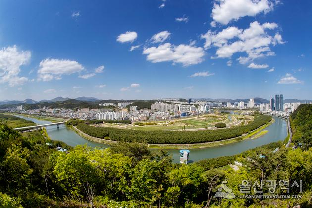 녹색도시 울산을 대표하는 태화강 국가정원 주변 전경[사진=울산시]