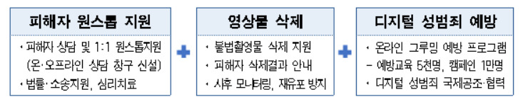 서울 디지털성범죄 안심지원센터 주요 지원 내용. [서울시 제공]