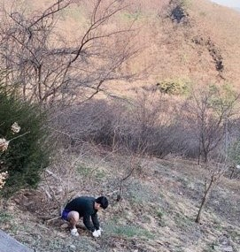 [최준희 인스타그램]