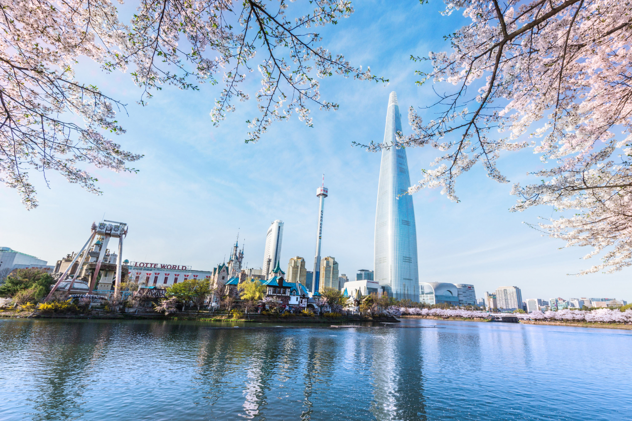 벚꽃로드