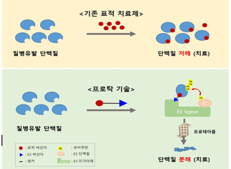 표적 단백질 분해(TPD)기술의 일종인 프로탁 기술 원리.[한국화학연구원 제공]