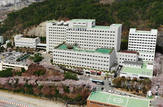 순천시 조례동 성가롤로 병원.
