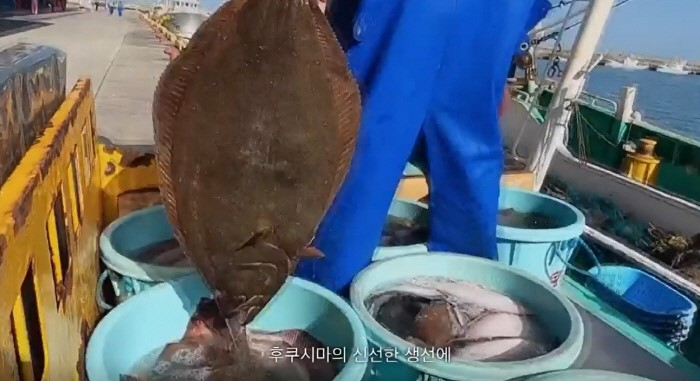 유튜브 캡처
