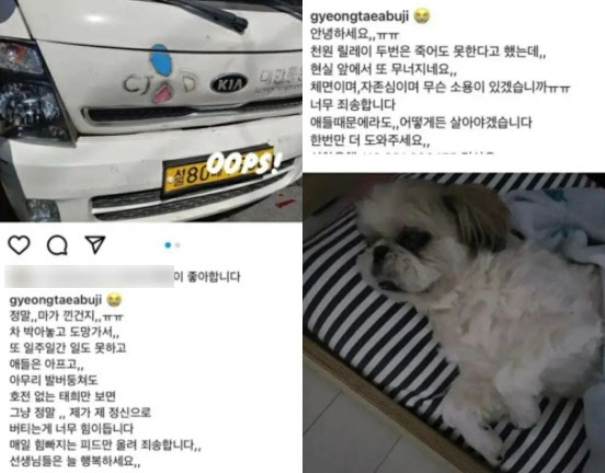 [인스타그램]