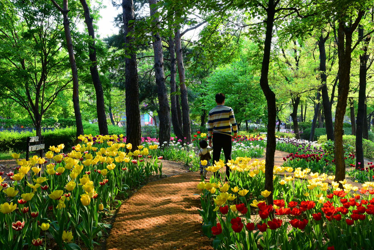 서울숲공원 [서울시 제공]