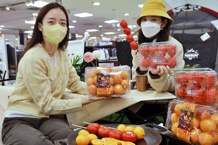 롯데마트가 캠핑용 과일 상품을 선보였다. [롯데마트 제공]