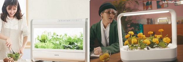 가정용 식물재배기인 '웰스팜'(왼쪽)과 'LG 틔운'. [각사 제공]