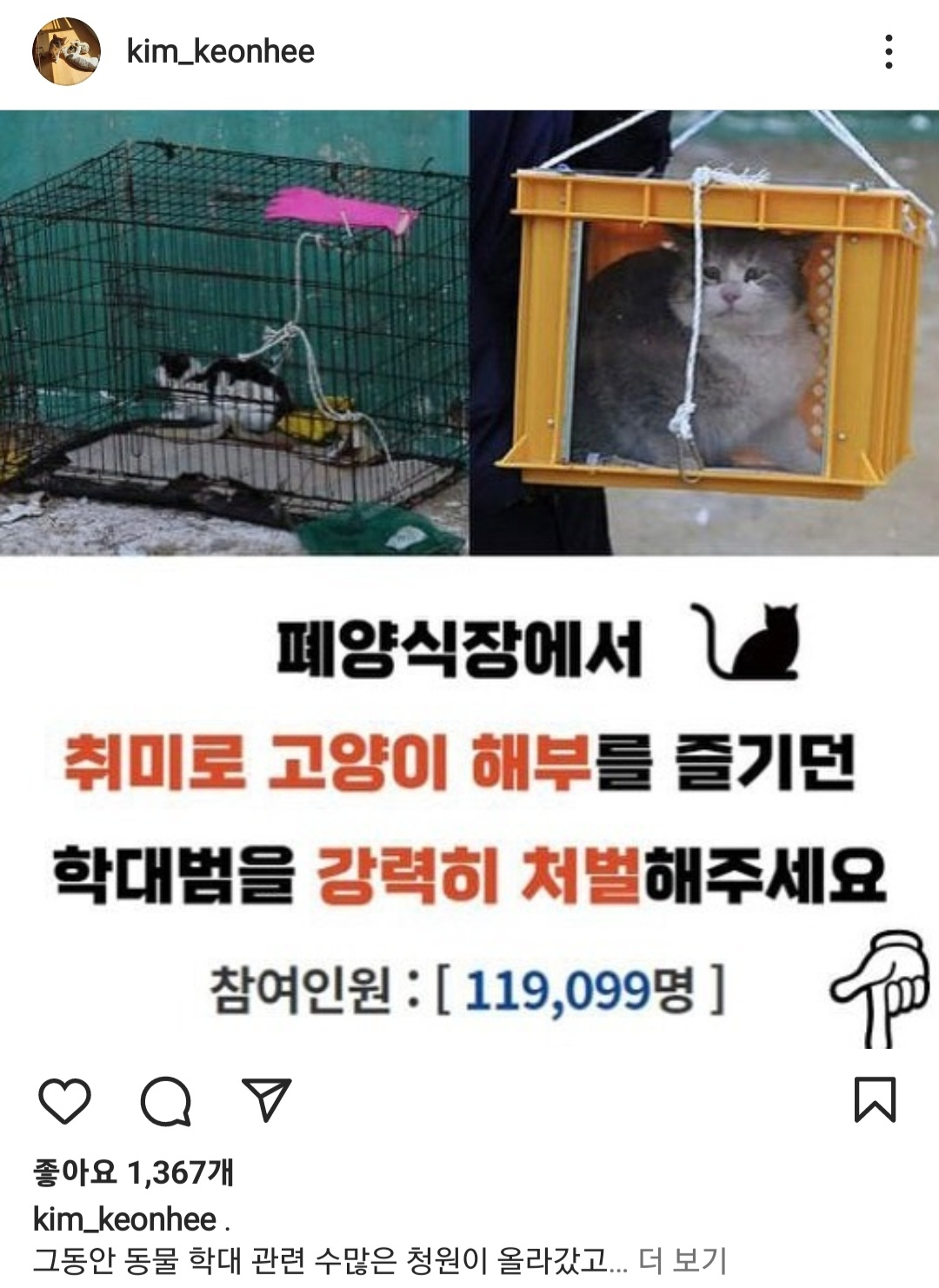 [김건희 인스타그램 캡처]