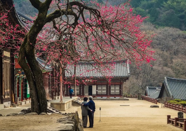 일반 휴대폰 사진부문 최우수상 수상자인 신승희씨 출품작.