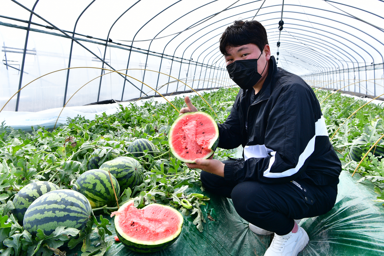 [고령군 제공]