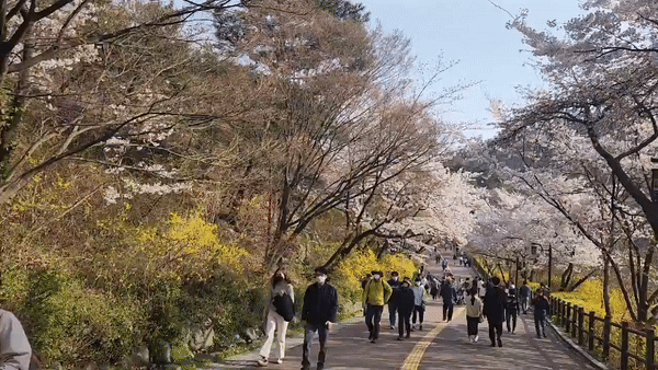 [이원율 기자]