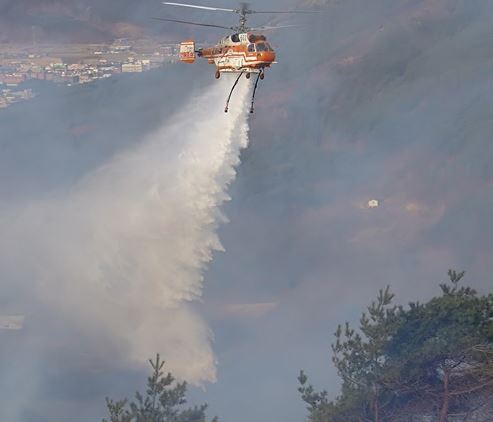 [산림청 제공]