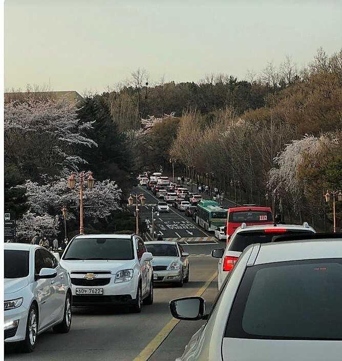 인파가 몰린 경기 용인 경희대 국제캠퍼스. [경희대 에브리타임 캡처]