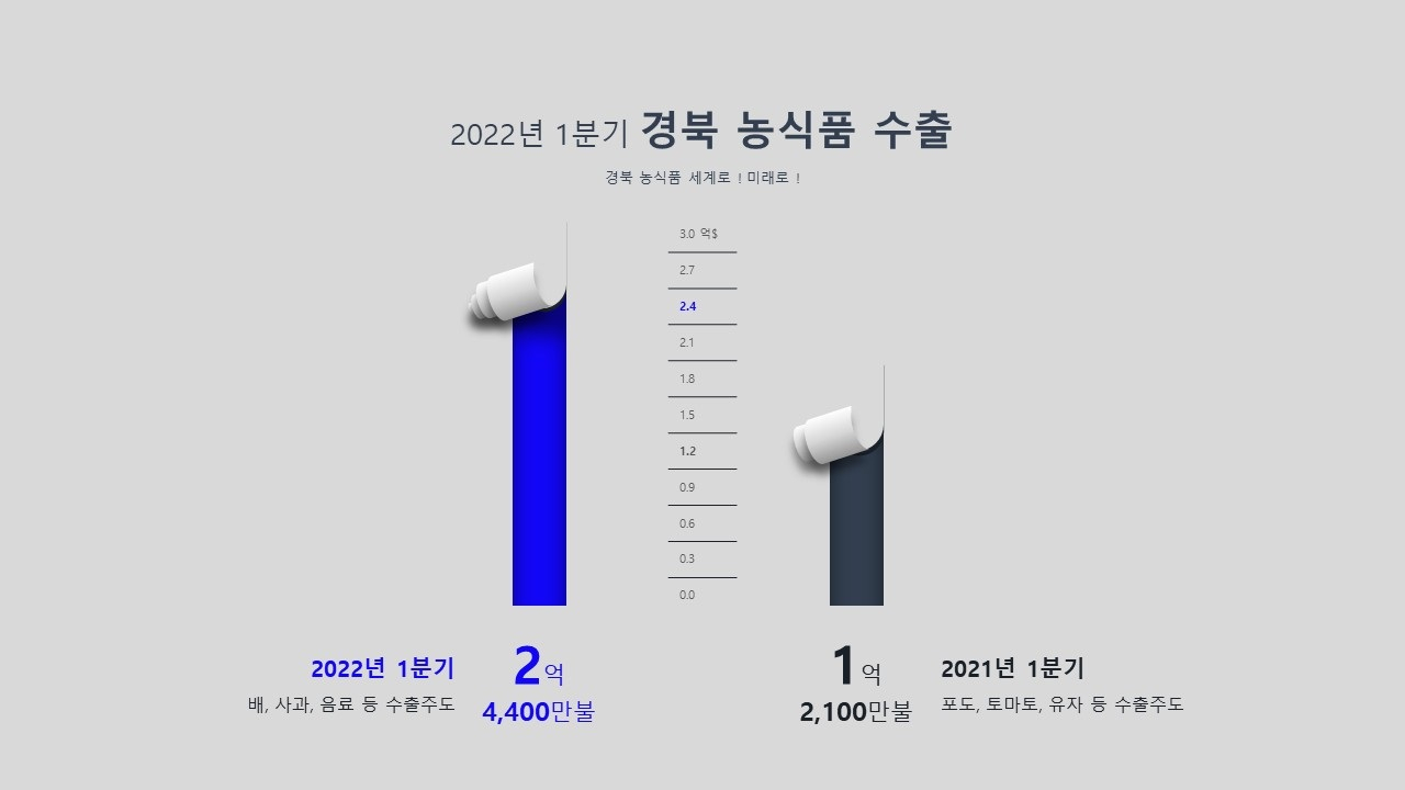 [경북도 제공]
