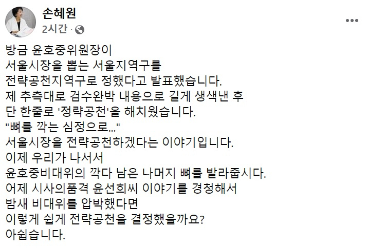 손혜원 전 더불어민주당 의원 페이스북 일부 캡처